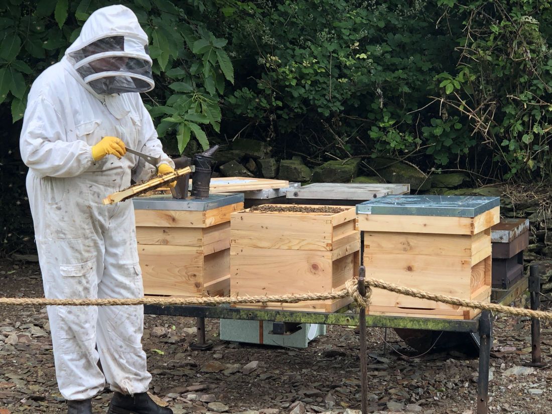 Looking after the new Hestercombe honey bees
